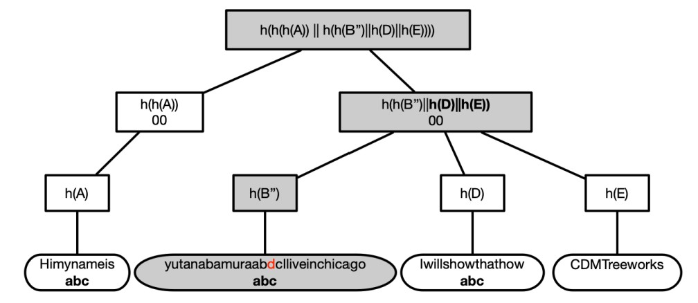 Figure for Content-defined Merkle Trees  for Efficient Container Delivery